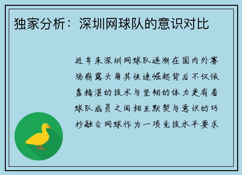 独家分析：深圳网球队的意识对比