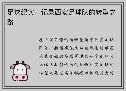 足球纪实：记录西安足球队的转型之路