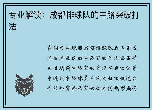 专业解读：成都排球队的中路突破打法
